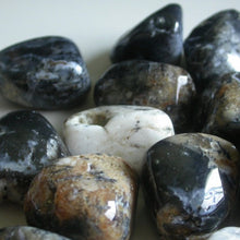 Load image into Gallery viewer, Dendritic Agate Tumbles - Song of Stones