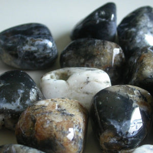 Dendritic Agate Tumbles - Song of Stones
