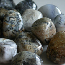 Load image into Gallery viewer, Dendritic Agate Tumbles - Song of Stones