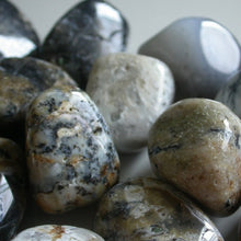 Load image into Gallery viewer, Dendritic Agate Tumbles - Song of Stones