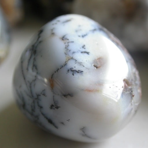 Dendritic Agate Tumbles - Song of Stones