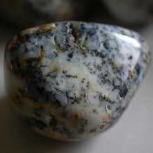 Load image into Gallery viewer, Dendritic Agate Tumbles - Song of Stones