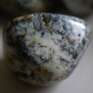 Dendritic Agate Tumbles - Song of Stones