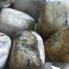Load image into Gallery viewer, Dendritic Agate Tumbles - Song of Stones