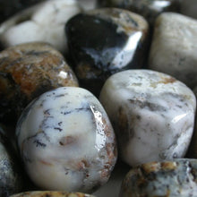 Load image into Gallery viewer, Dendritic Agate Tumbles - Song of Stones