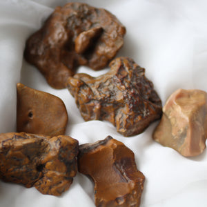 Golden Dragon Bones Desert Jasper