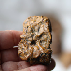 Golden Dragon Bones Desert Jasper