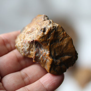 Golden Dragon Bones Desert Jasper