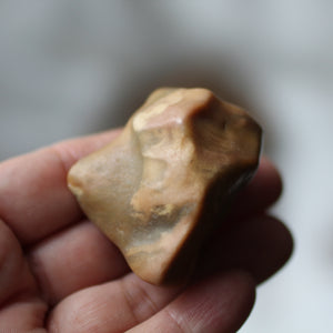 Golden Dragon Bones Desert Jasper