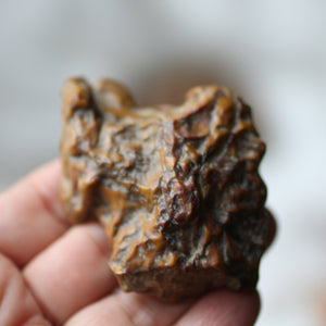 Golden Dragon Bones Desert Jasper
