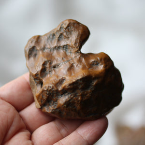 Golden Dragon Bones Desert Jasper