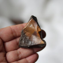 Load image into Gallery viewer, Dragon Bones Desert Jasper