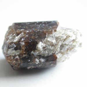 Dravite Angel Wing Crystals - Song of Stones