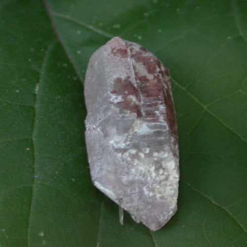 Druid Forest Quartz Crystals - Song of Stones