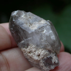 Druid Forest Quartz Crystals - Song of Stones