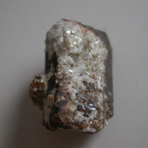 Dravite Angel Wing Crystals - Song of Stones
