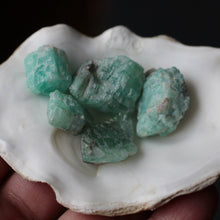 Load image into Gallery viewer, Emeralds from Oz Circle of 5 B