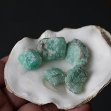 Load image into Gallery viewer, Emeralds from Oz Circle of 5 B