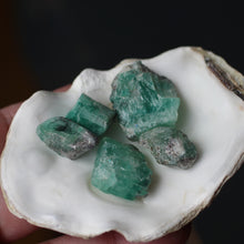 Load image into Gallery viewer, Emeralds from Oz Circle of 5 C