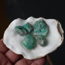 Load image into Gallery viewer, Emeralds from Oz Circle of 5 C