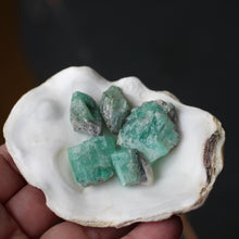 Load image into Gallery viewer, Emeralds from Oz Circle of 5 C