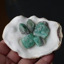 Load image into Gallery viewer, Emeralds from Oz Circle of 5 C