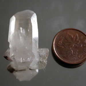 Lemurian Librarian - Song of Stones