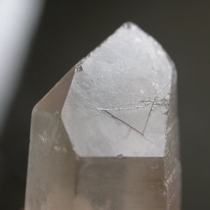 Lemurian Librarian - Song of Stones