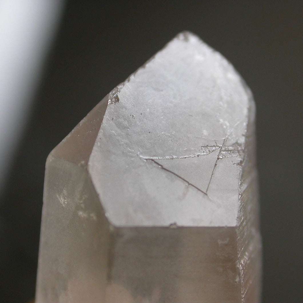 Lemurian Librarian - Song of Stones