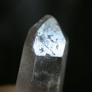 Story Guardian - Lhiam - Song of Stones