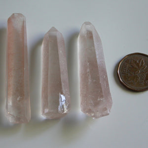 Story Guardians - 3 sisters in pink - Song of Stones