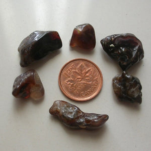 Fire Agate Tumbles - Song of Stones