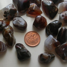 Load image into Gallery viewer, Fire Agate Tumbles - Song of Stones