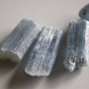 Gem Blue Kyanite buds - Song of Stones