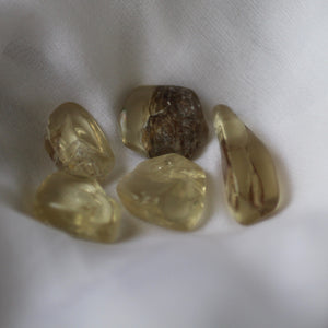 Bytownite Golden Labradorite Tumbled Crystals - Song of Stones