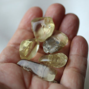 Bytownite Golden Labradorite Tumbled Crystals - Song of Stones