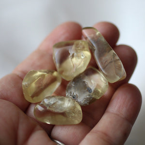 Bytownite Golden Labradorite Tumbled Crystals - Song of Stones