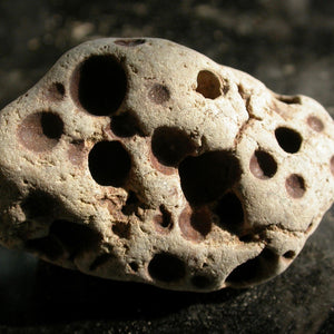 Holey Divining Duo - Song of Stones