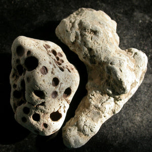 Holey Divining Duo - Song of Stones