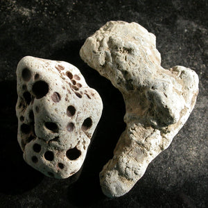 Holey Divining Duo - Song of Stones