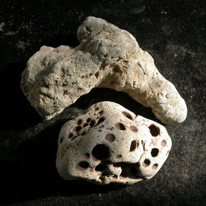 Holey Divining Duo - Song of Stones