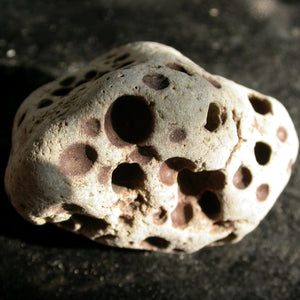 Holey Divining Duo - Song of Stones