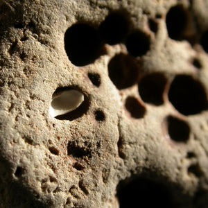 Holey Divining Duo - Song of Stones