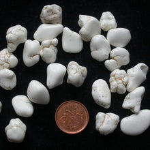 Load image into Gallery viewer, Howlite - Song of Stones