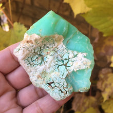 Load image into Gallery viewer, izy - Song of Stones
