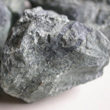 Load image into Gallery viewer, Kambaba Jasper - Song of Stones