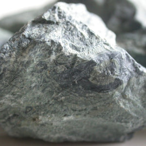 Kambaba Jasper - Song of Stones