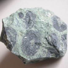 Load image into Gallery viewer, Kambaba Jasper - Song of Stones