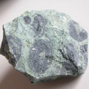 Kambaba Jasper - Song of Stones