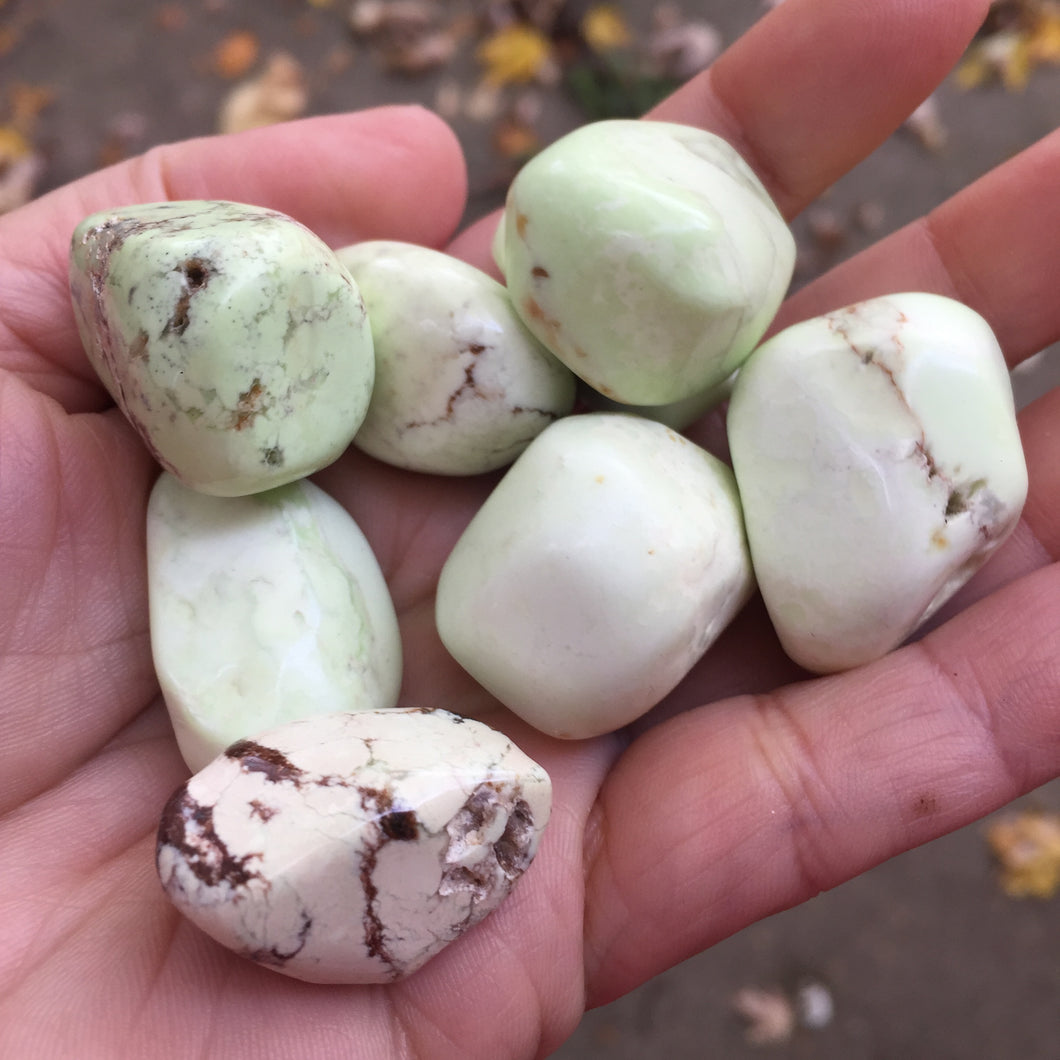 Lemon Chrysoprase Tumbles - Song of Stones